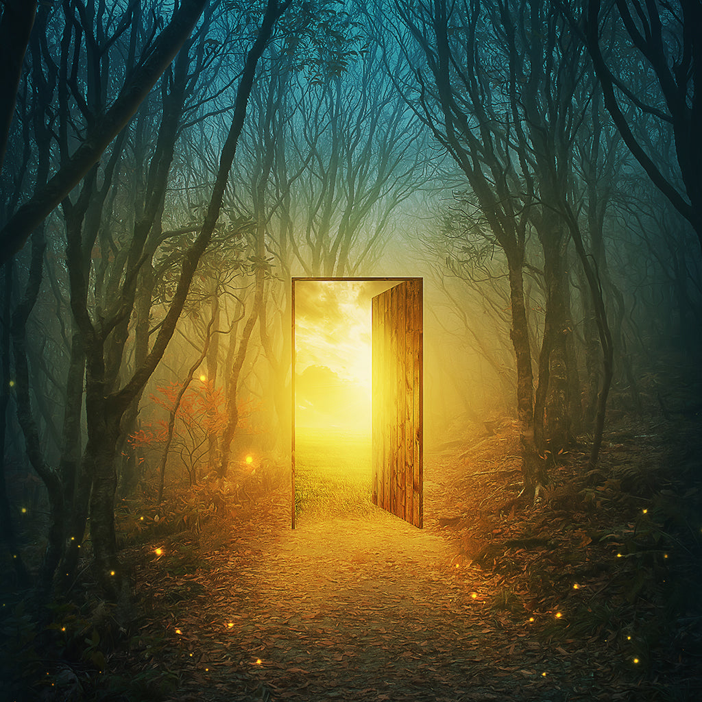 Doors of Perception Sensory Gating Otherworld Well
