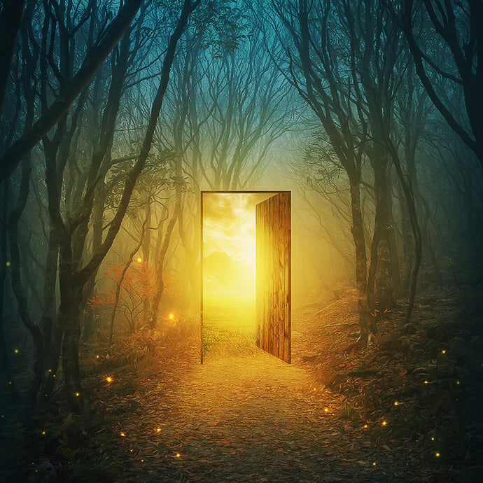 Doors of Perception: Sensory Gating