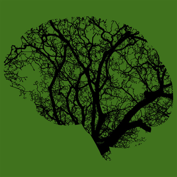 Herbs and the Biology of Learning