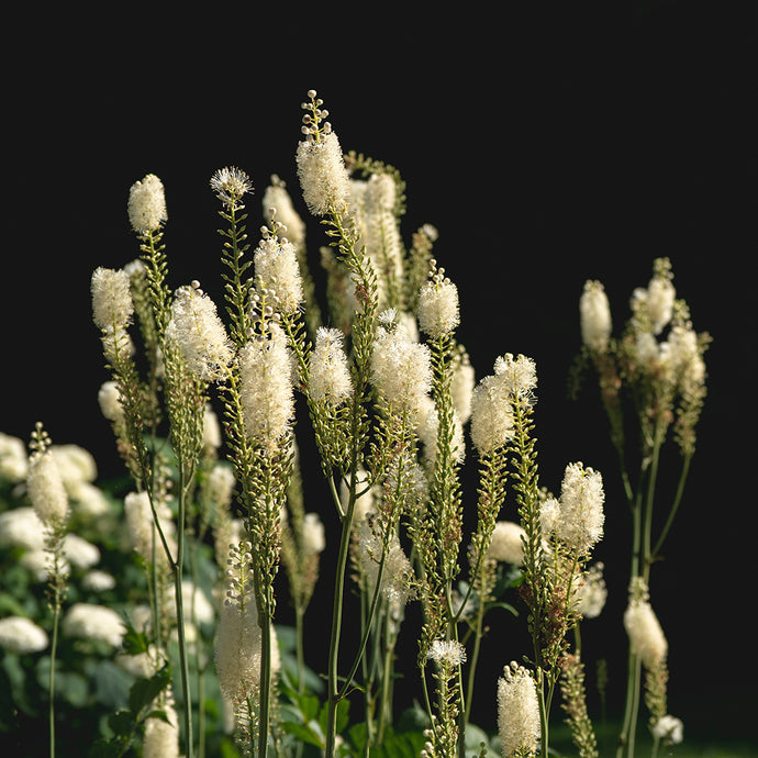 Navigating the Darkness