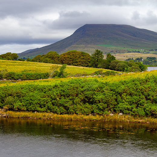 Pilgrimage and the Wild Heart