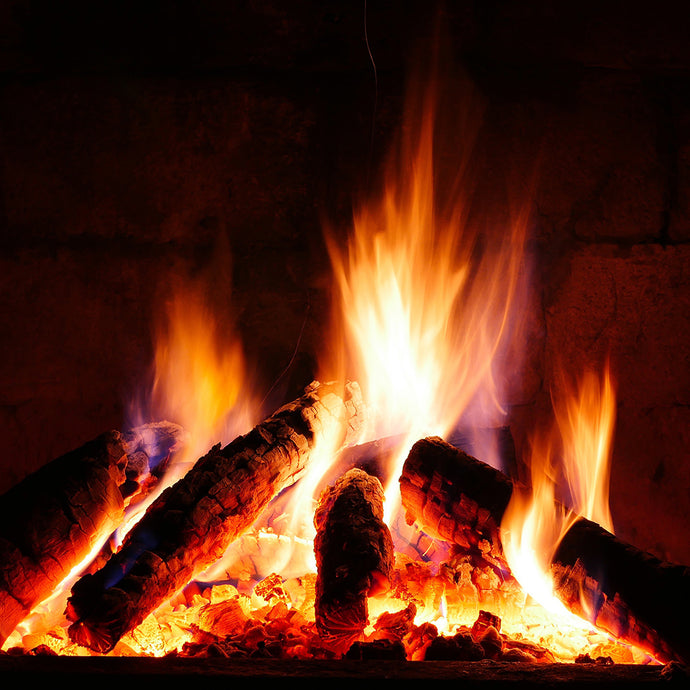 The Fire of Life: Herbs for Vitality