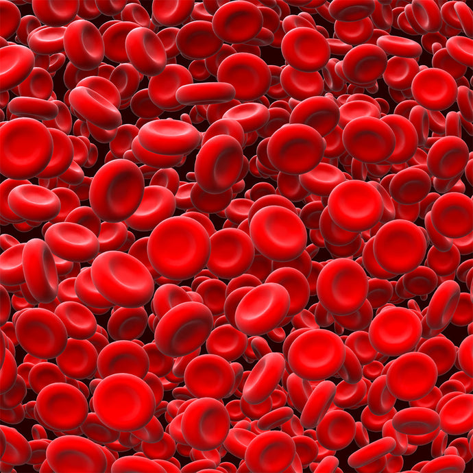 The Life in the Blood