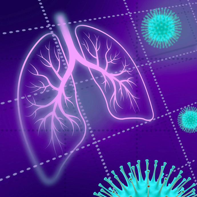 Herbs and the Respiratory Tripledemic