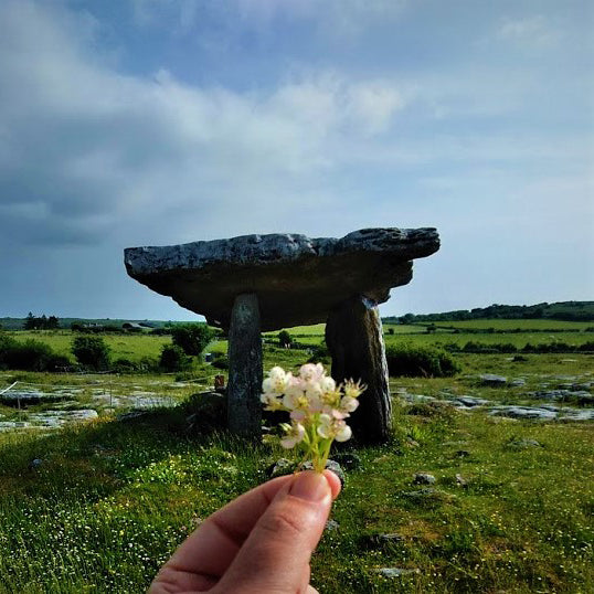 The May Queen's Shadow