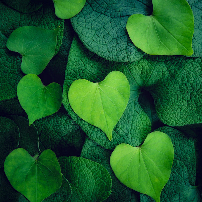 Time and the Heart