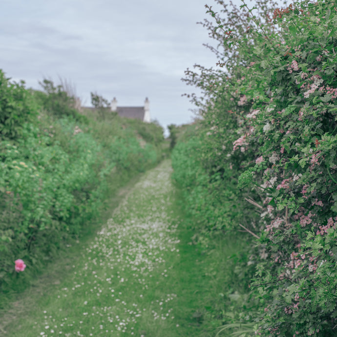 Live Online Classes!