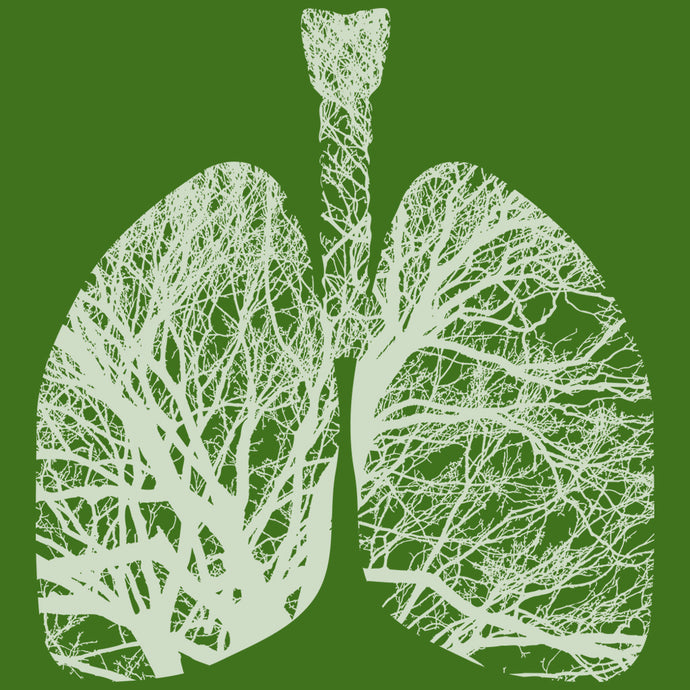 COVID-19: Herbs for the Long Haul