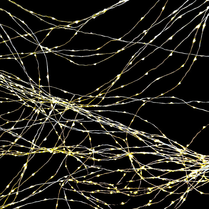 Changing Your Mind: Herbs and Neuroplasticity