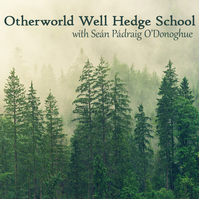 What is the Otherworld Well Hedge School?