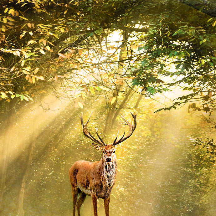 Wedding the Otherworld