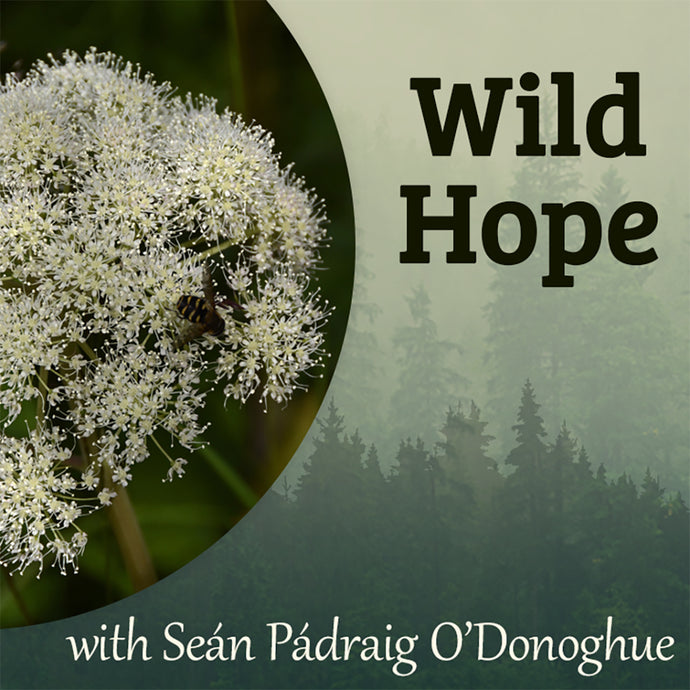 Wild Hope