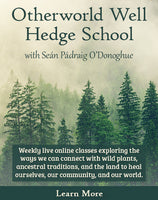 Otherworld Well Hedge School