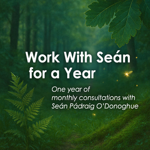 Work With Seán for a Year