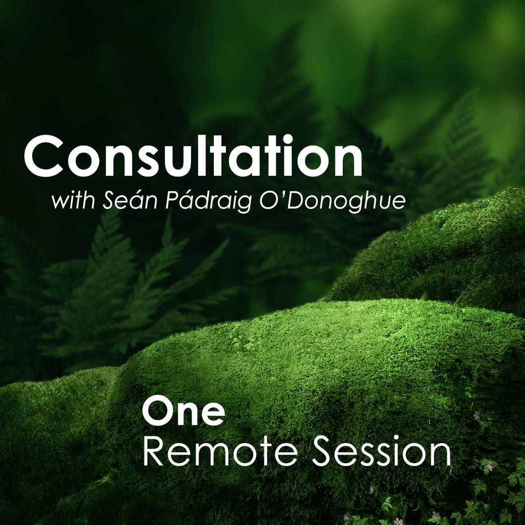 One Session (Remote)
