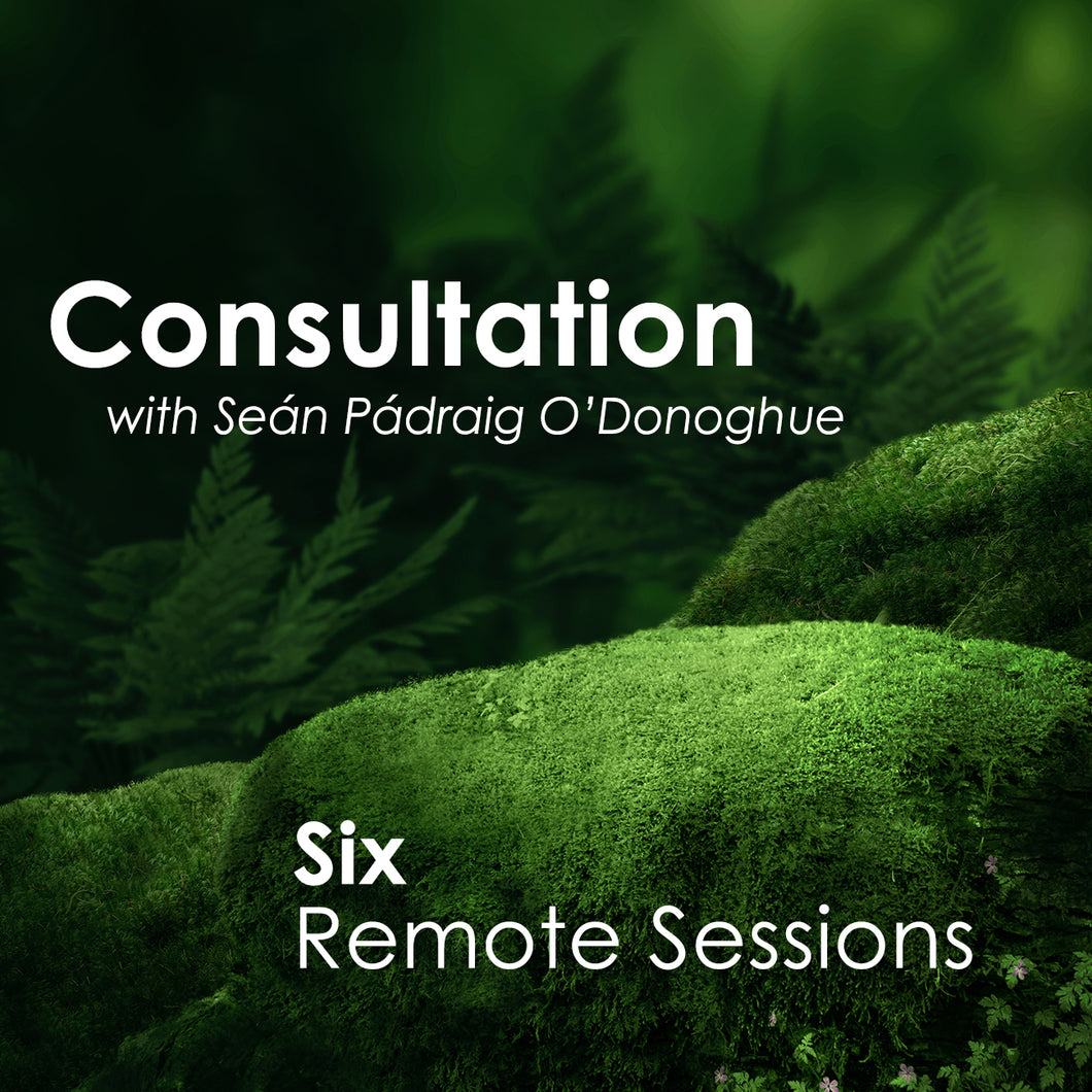 Six Sessions (Remote)