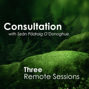 Three Sessions (Remote)